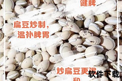 炒白扁豆的功效与作用解析_健康益处及食用价值详解