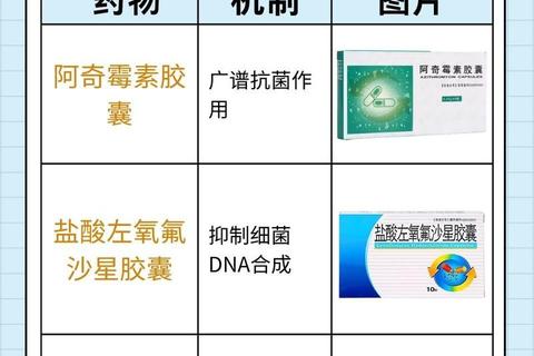 前列腺炎消炎药物选择指南：专家推荐与用药注意事项