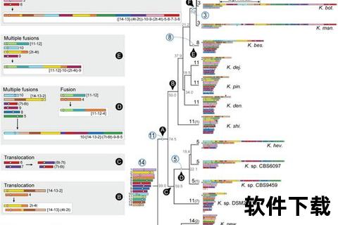 霉菌感染与月经失调关联探析——致病机制及防治策略