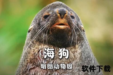 海狗的多重作用解析：生态价值_经济贡献与药用功效探秘