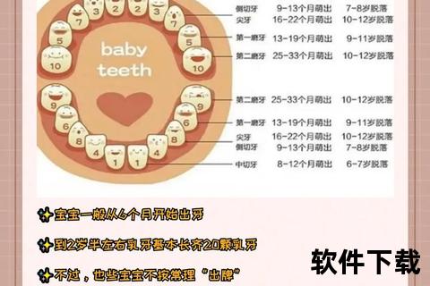 儿童换牙顺序全解析:6-12岁各阶段详解