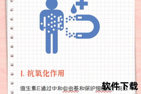 维生素E_全面解析：抗氧化作用与健康益处