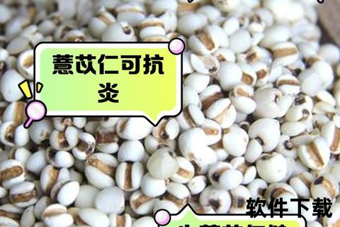 生薏苡仁功效解析_祛湿健脾与美容养颜双重作用探秘