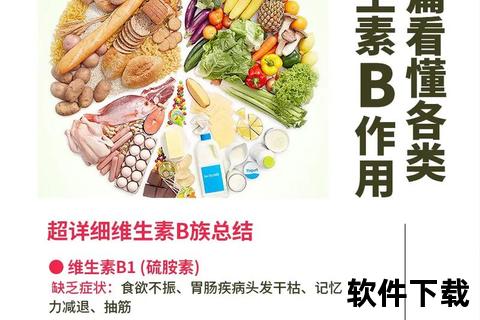 B族维生素：代谢调节与健康维护全解析