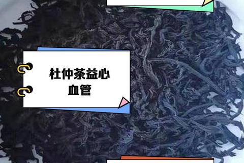 杜仲茶功效全解析-天然草本的健康益处与日常饮用作用