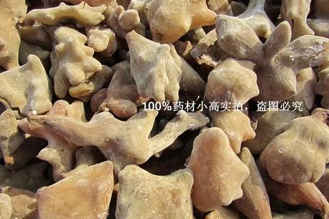 五倍子功效全解析：收敛抗菌与药用价值作用详解