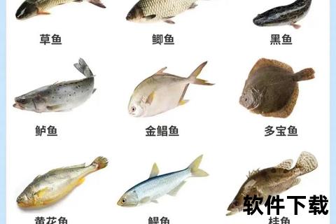 妇科炎症可以吃鱼吗_适宜类型与饮食禁忌解析 妇科炎症可以吃鱼吗_适宜类型与饮食禁忌解析