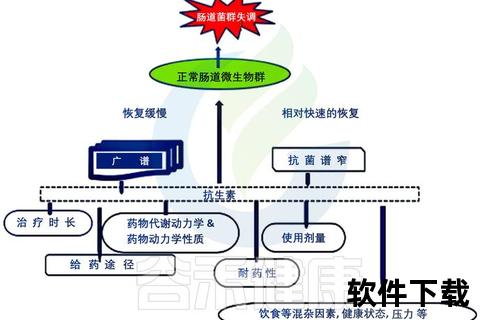 复方嗜酸乳杆菌增效机制-肠道菌群调节与免疫提升研究