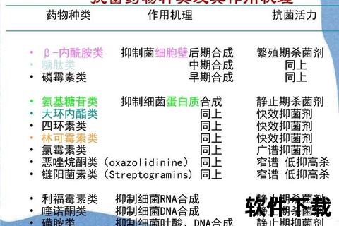 呋喃唑酮片联合阿莫西林_抗菌机制与临床应用研究