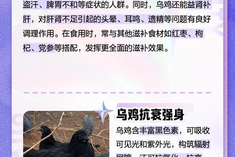 乌鸡的十大功效与作用_滋补养生及营养价值全解析