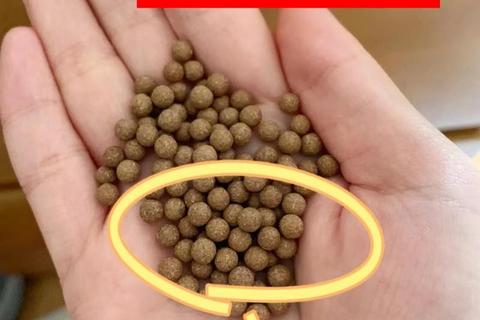小金丸散结消肿_化瘀止痛:甲状腺结节与乳腺增生治疗解析