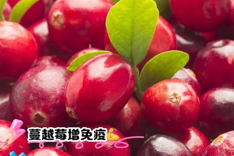 蔓越莓胶囊副作用解析_安全风险与常见问题解答