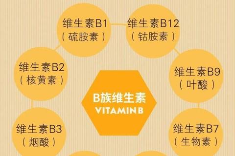 维生素2（核黄素）：解锁能量代谢与健康守护的关键