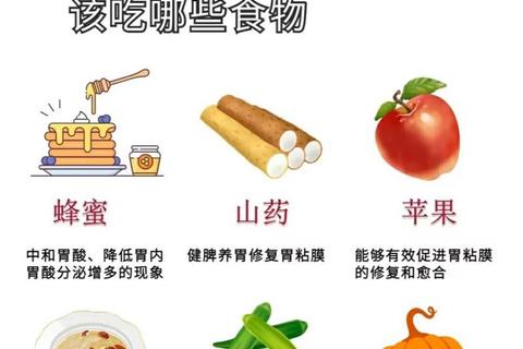 维生素U核心功效解析：修复黏膜_调节胃酸与消化系统保护机制