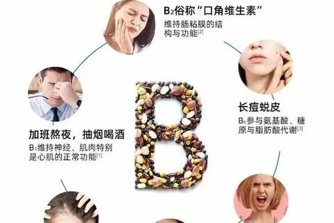 复合维生素B使用指南：核心成分解析与正确服用方法