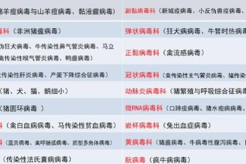 斯皮仁诺胶囊_抗真菌治疗新进展与临床用药安全解析