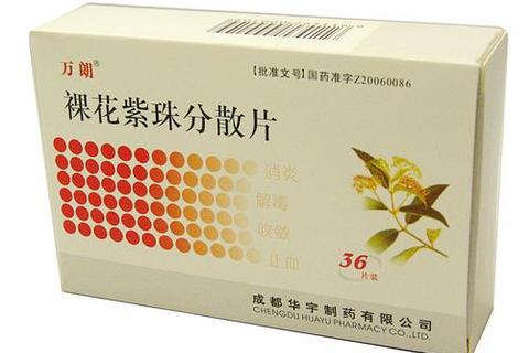 裸花紫珠妇科治疗方向解析：炎症缓解与出血控制效果