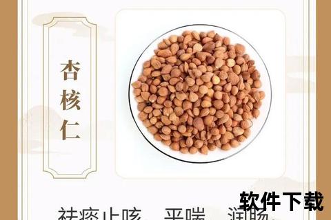 杏核的多重健康功效：润肠通便_止咳平喘_护心美容