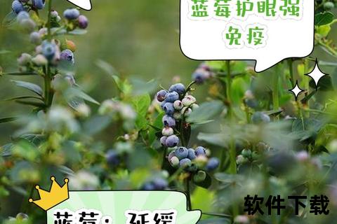 蓝莓维生素_天然抗氧化力与健康益处的营养核心解析
