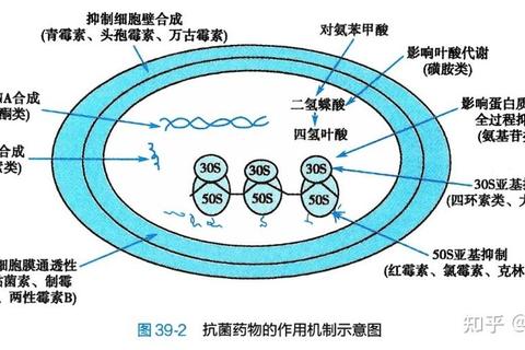 牛黄解毒片消炎机制解析:天然成分与抗菌效果探究 牛黄解毒片消炎机制解析:天然成分与抗菌效果探究