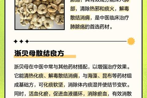 贝母功效与作用：清热润肺止咳化痰的关键解析
