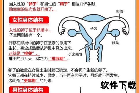 意外怀孕应对指南：科学处理与心理调适步骤