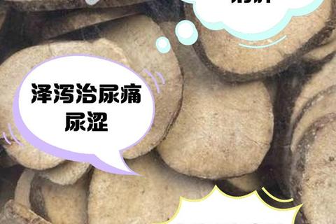 泽泻功效解析：利水渗湿与降血脂的天然药用价值