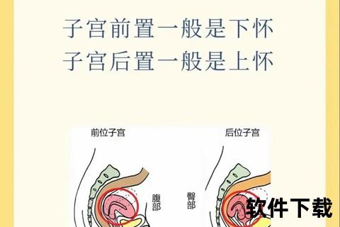 子宫检查全指南：详细步骤与适用方法解析