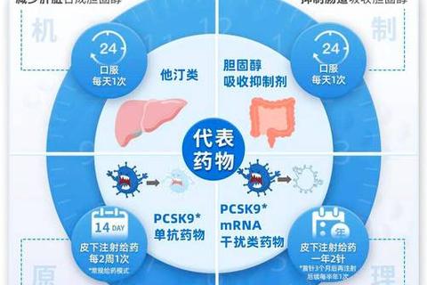 立普妥：降脂护心与胆固醇调节的关键作用解析