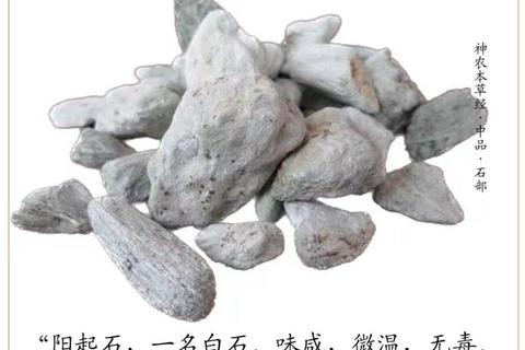 阳起石：温肾壮阳的临床应用与现代研究解析
