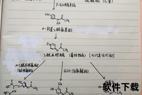 复方乙酰氨基酚：成分解析_镇痛机制与临床应用探析