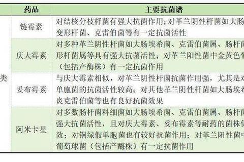 复方新诺明片：广谱抗菌特性与临床应用要点解析