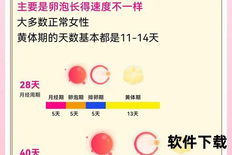 月经后易孕日解析：排卵期第几天受孕率最高
