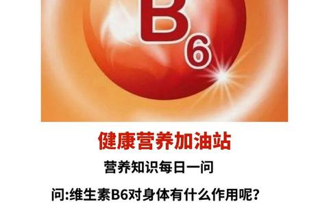 维生素B6核心作用解析：功能主治与健康应用方向