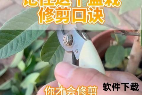 修剪指南：安全步骤、工具选择与护理技巧