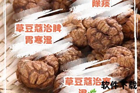 草豆蔻功效与作用解析：温中散寒_行气消食_改善消化不良