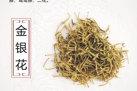 消炎杀菌最强中草药盘点：金银花_黄连_蒲公英科学解析