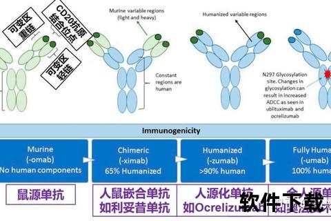 关节消炎药研发突破：靶向镇痛与组织修复双效机制解析
