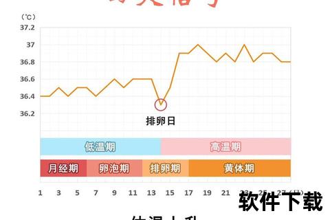 排卵症状表现解析：常见体征与周期性身体变化