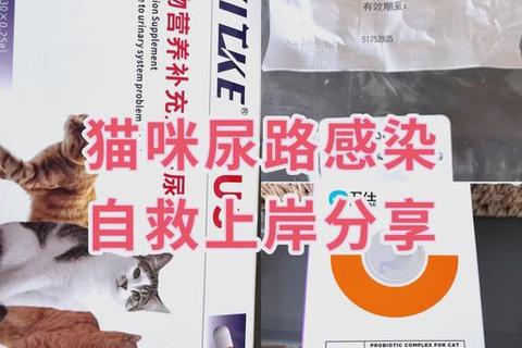 泌淋清胶囊：尿路感染克星_消炎利尿双重功效与安全用药解析