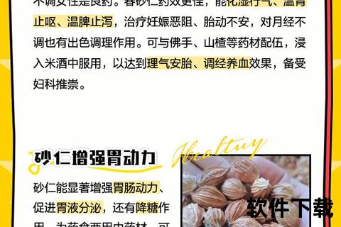 砂仁功效与作用解析：健脾胃_促消化_缓解不适