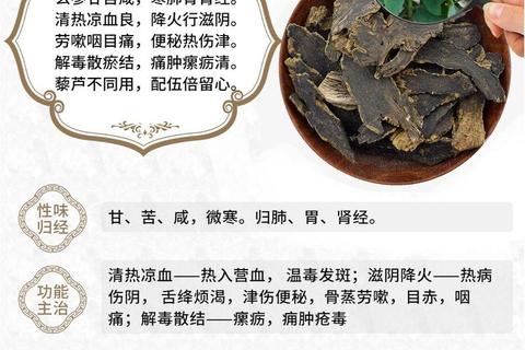 玄参功效解析：清热凉血_滋阴降火_解毒散结作用详解