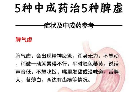 脾虚用药_中医调理方法与常用药物解析
