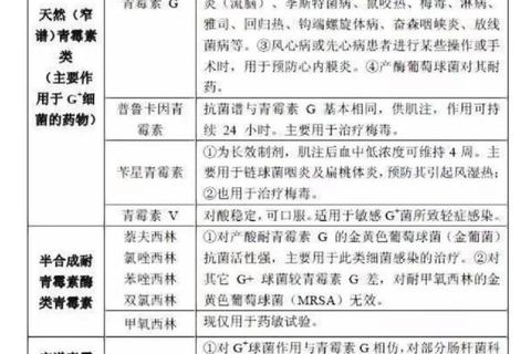 诺氟沙星与阿莫西林联用策略_抗菌机制及临床适应症解析