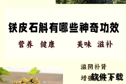 石斛功效与作用全解析:天然养生草本的神奇力量 石斛功效与作用全解析:天然养生草本的神奇力量