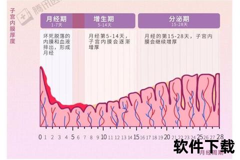 子宫内膜厚度达多少会来月经-关键数值与周期变化 子宫内膜厚度达多少会来月经-关键数值与周期变化