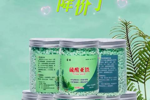 复方硫酸亚铁_治疗缺铁性贫血的机制与临床应用研究