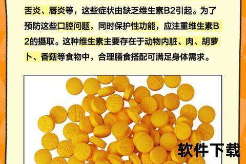 维生素G（B2）的核心作用：守护黏膜健康与能量代谢