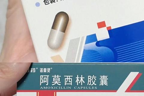 急性肠胃炎能否吃阿莫西林？关键适用条件与禁忌须知
