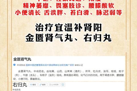 金匮肾气丸作用解析：温补肾阳与调节肾虚症状的核心功效